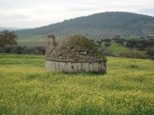 Bujarda de Valverde de Burguillos